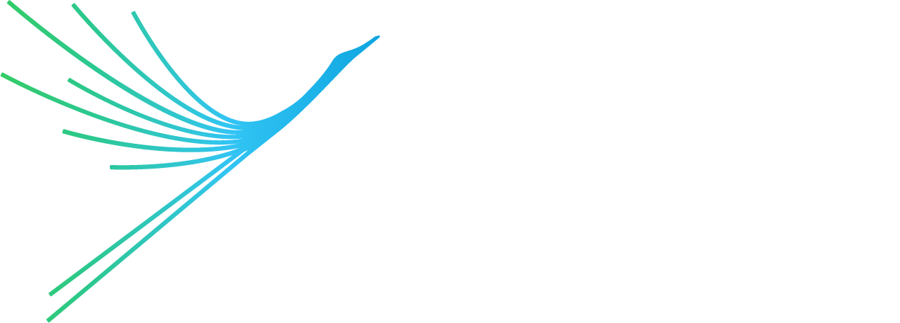 Noida International Airport